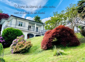 i FAGGI ROSSI - RED BEECH TREES Como